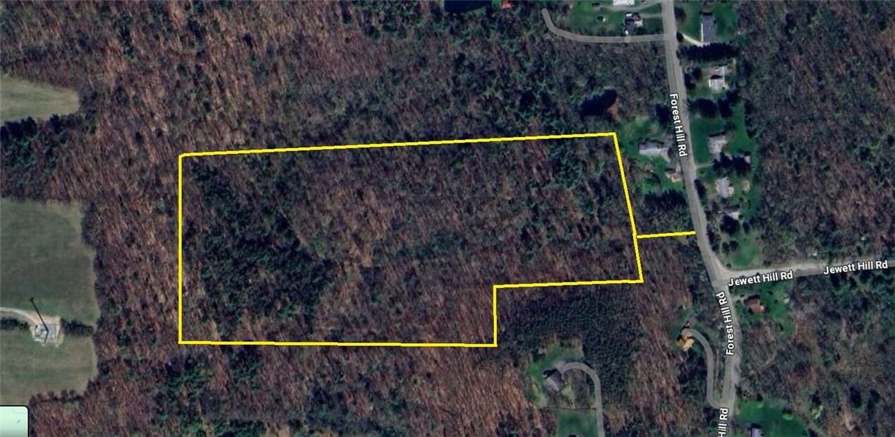 Property Photo:  0 Forest Hill  NY 13732 