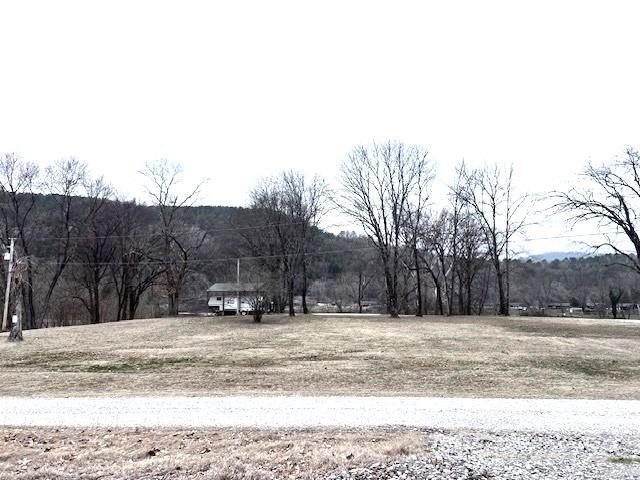 Property Photo: 990 N Riverview Lane AR 72560