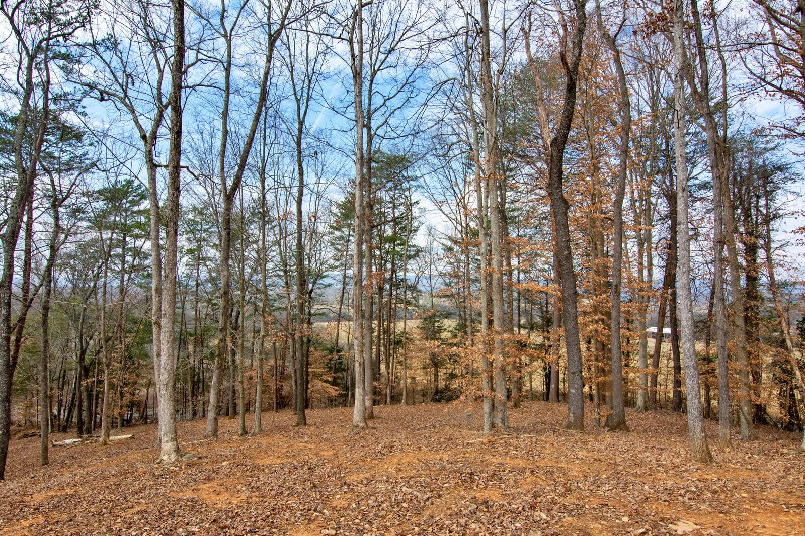 Property Photo: 2604 Lower East Valley Road TN 37327
