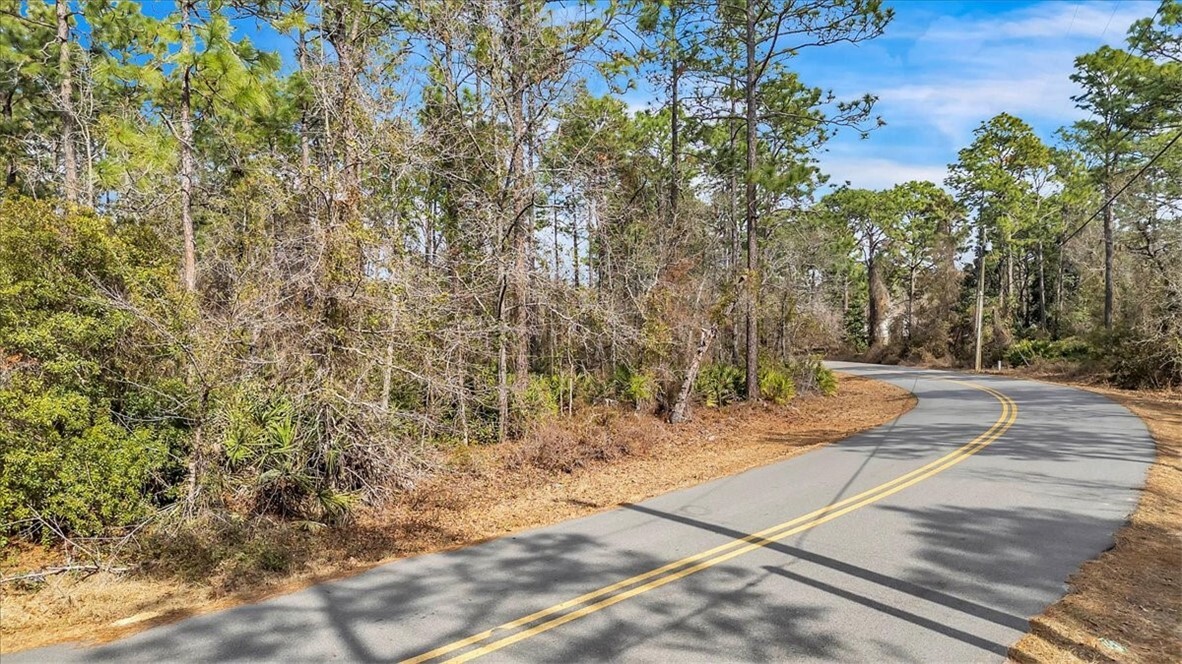 Property Photo: 51 Pine Forest Drive GA 31546