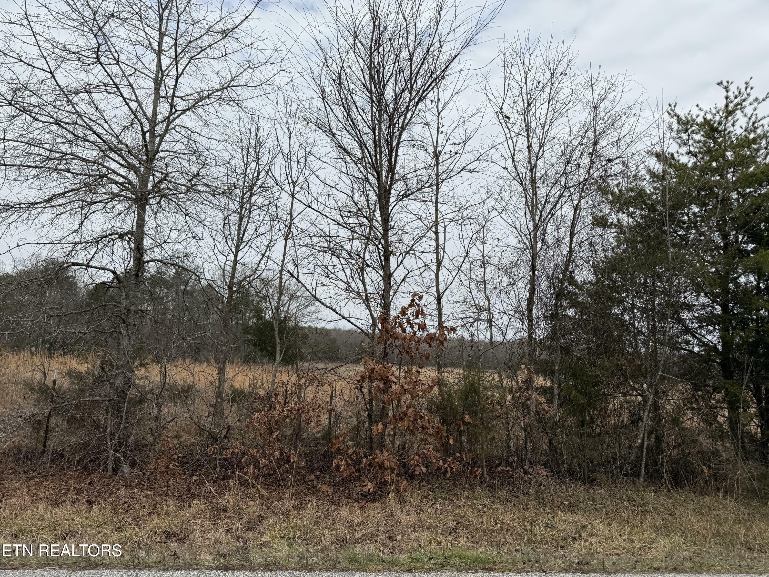 Property Photo:  2630 River Rd  TN 37763 