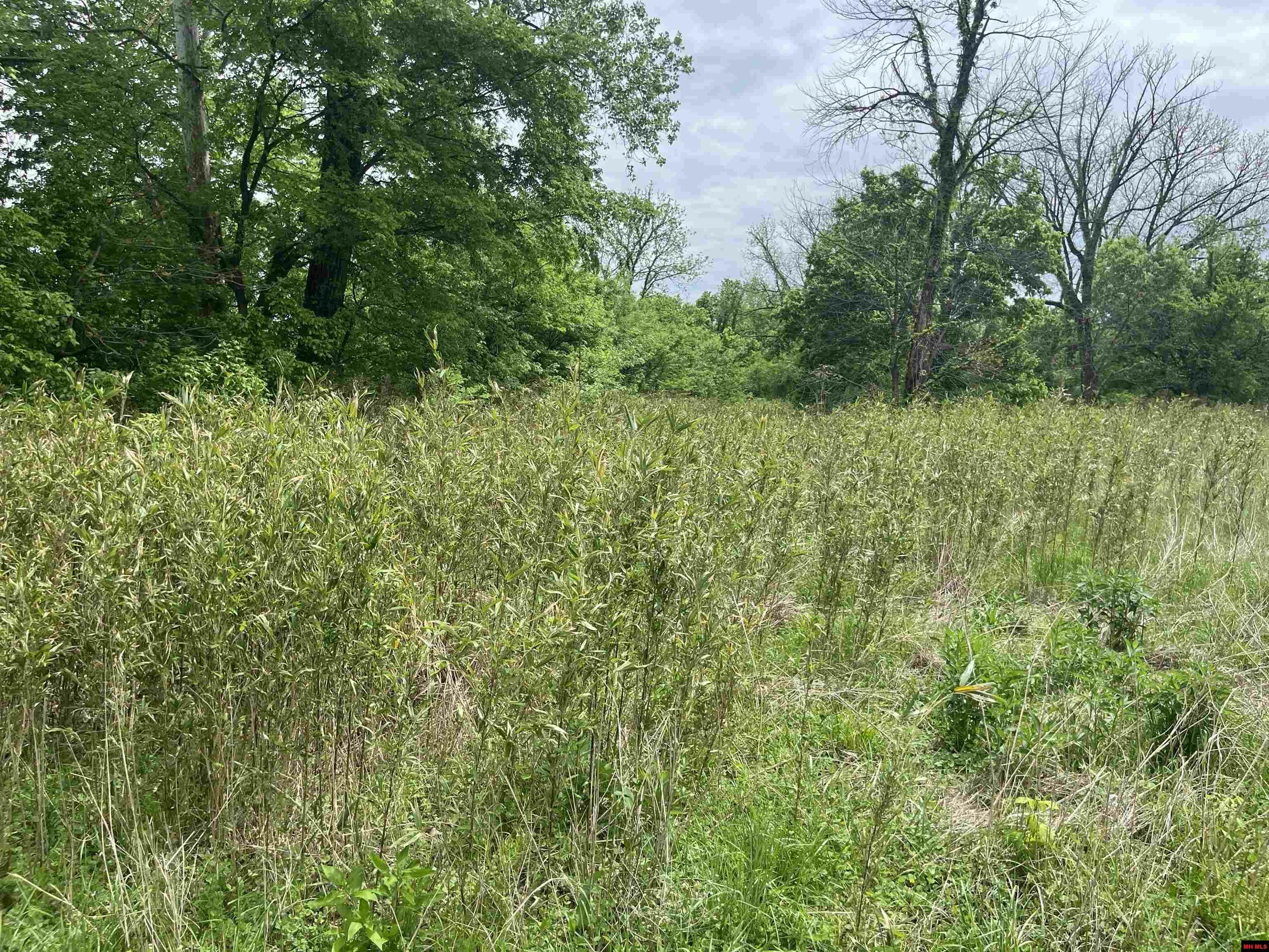 Property Photo: Lot 2 Cold Water Court AR 72658