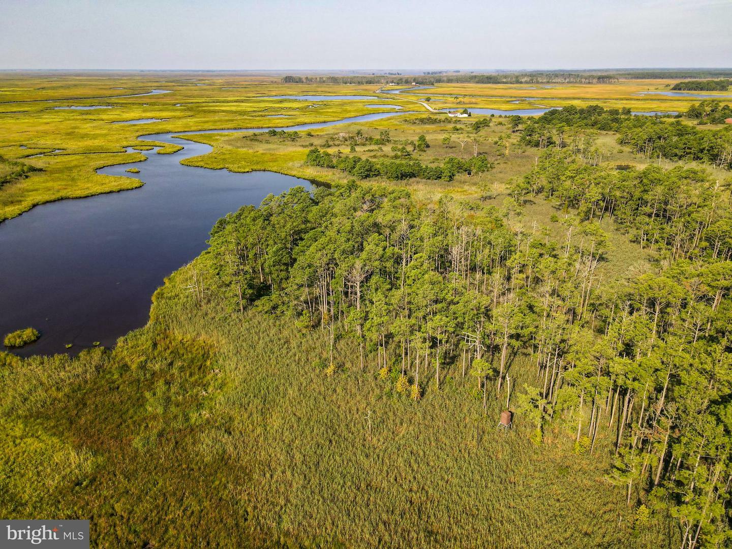 Property Photo:  Griffith Neck Road  MD 21613 