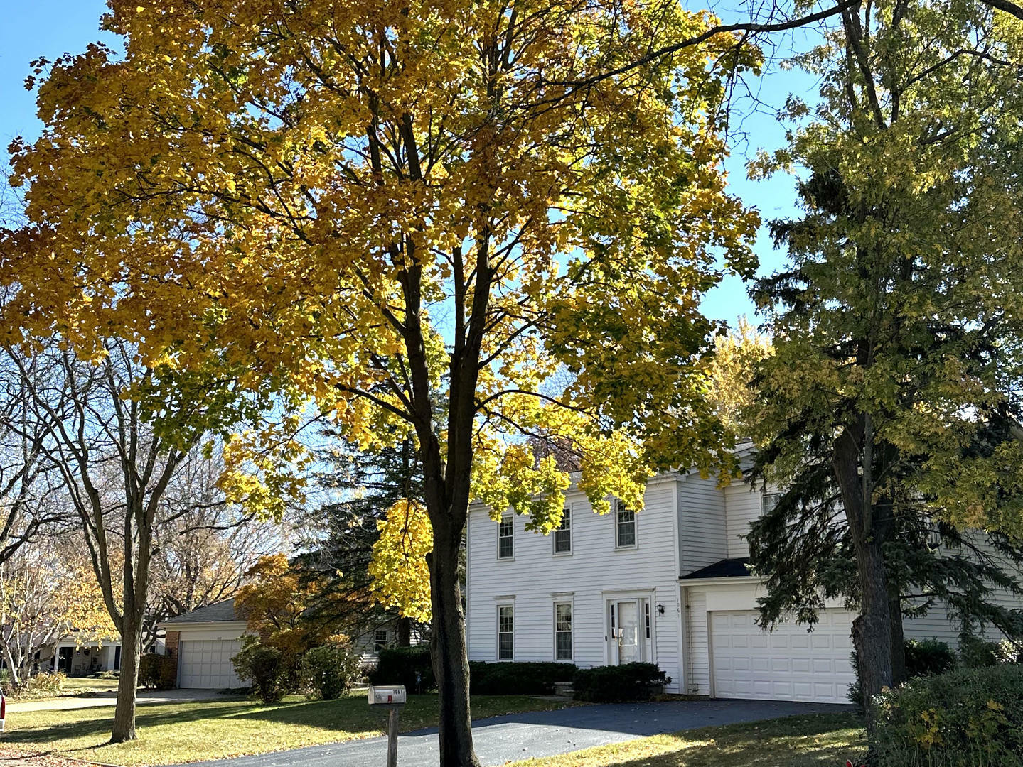 Property Photo:  1061 W Austin Lane  IL 60067 