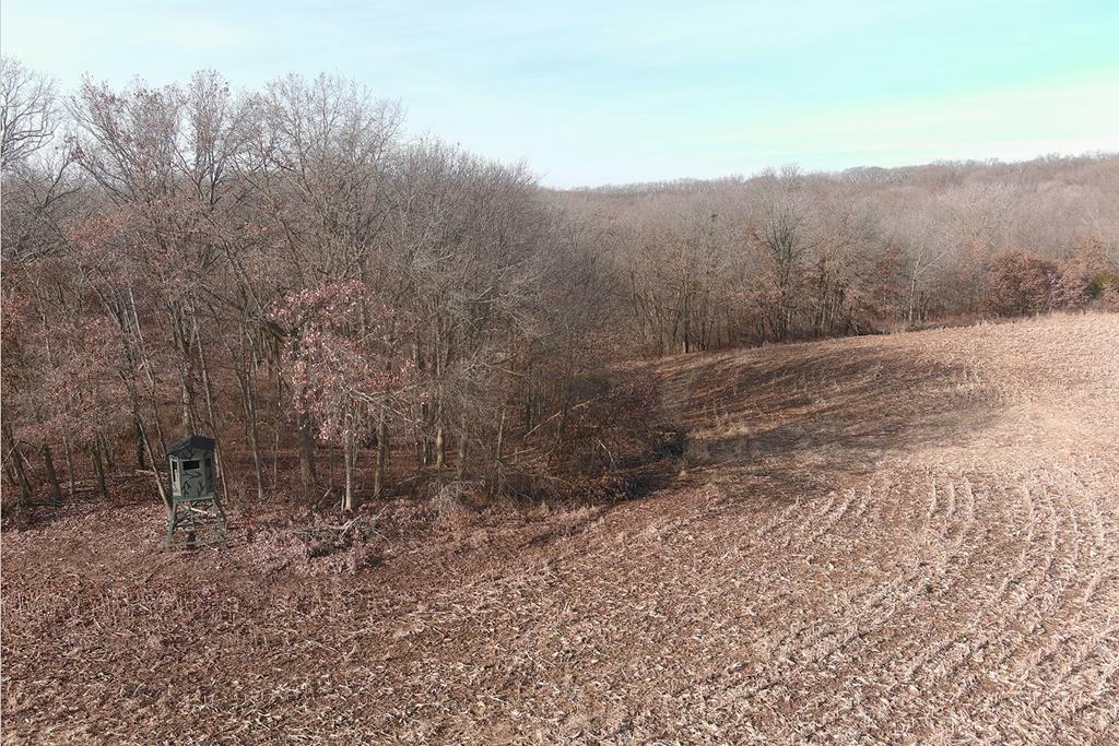 103 Acre N/A  Milan MO 63556 photo