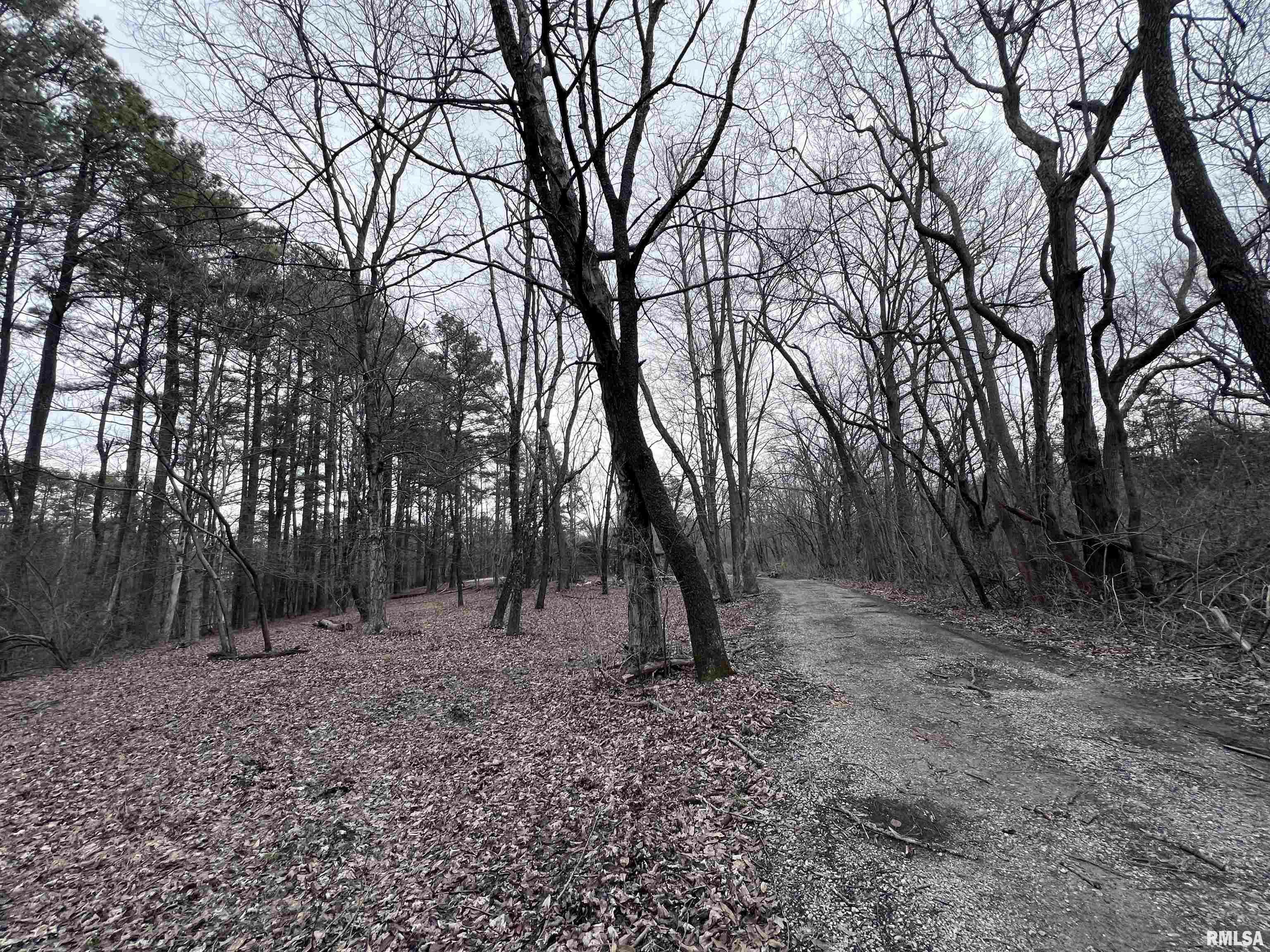 Property Photo: 449 Pine Lane IL 62966