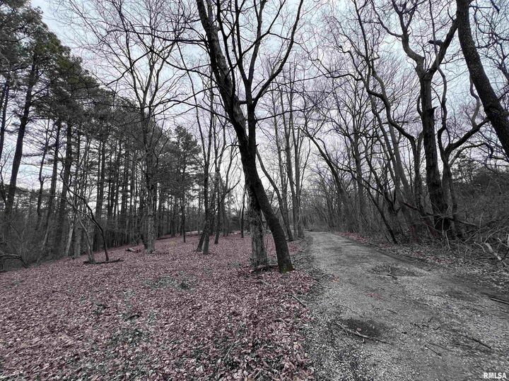 Property Photo:  449 Pine Lane  IL 62966