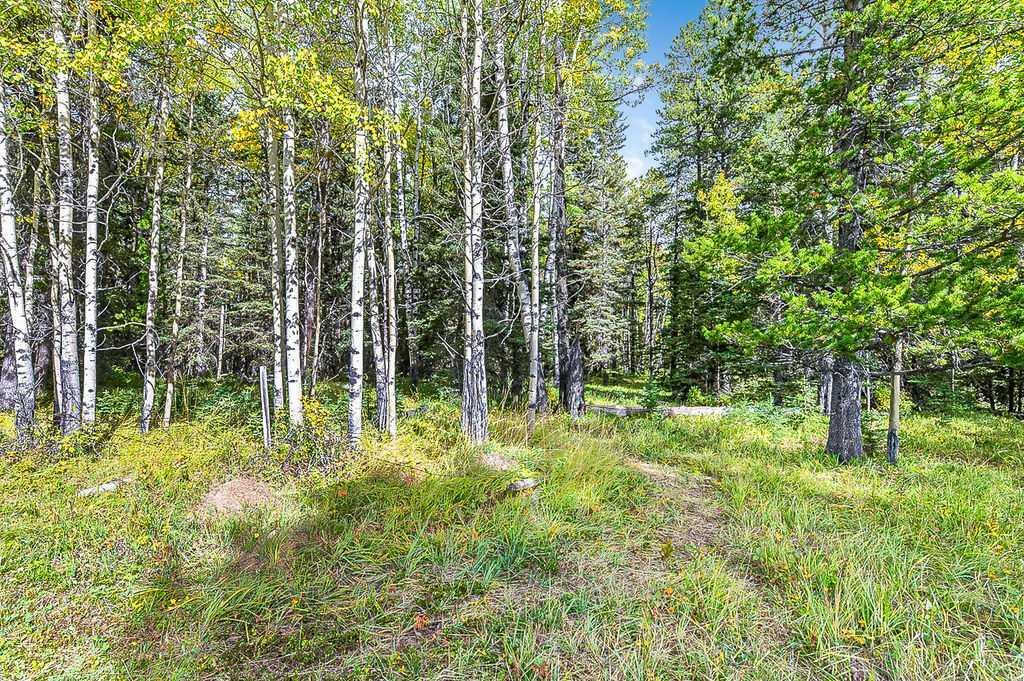 Property Photo:  336 Street W  AB T0L 1W0 