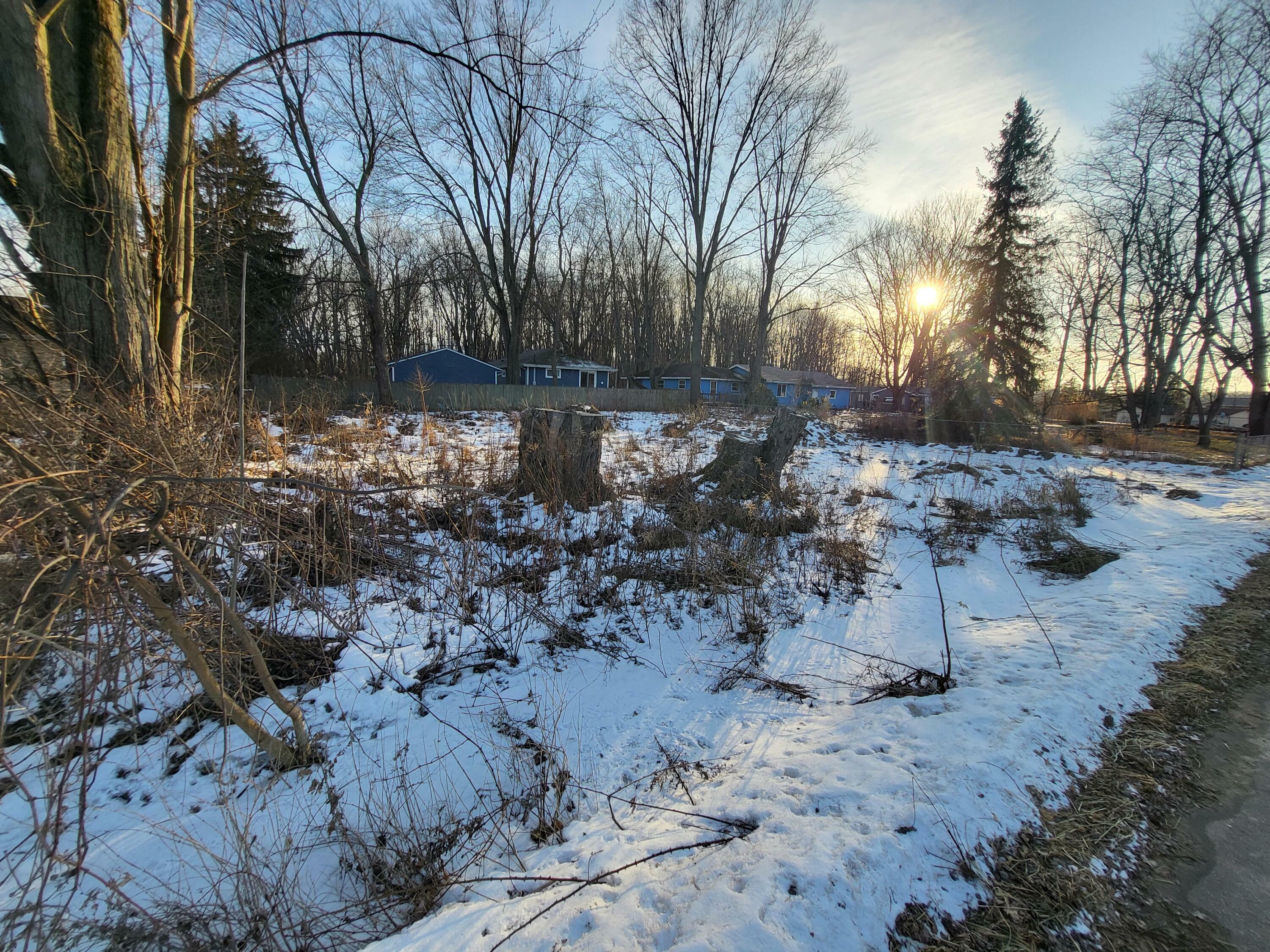 Property Photo:  V/L Sylvester  MI 49038 