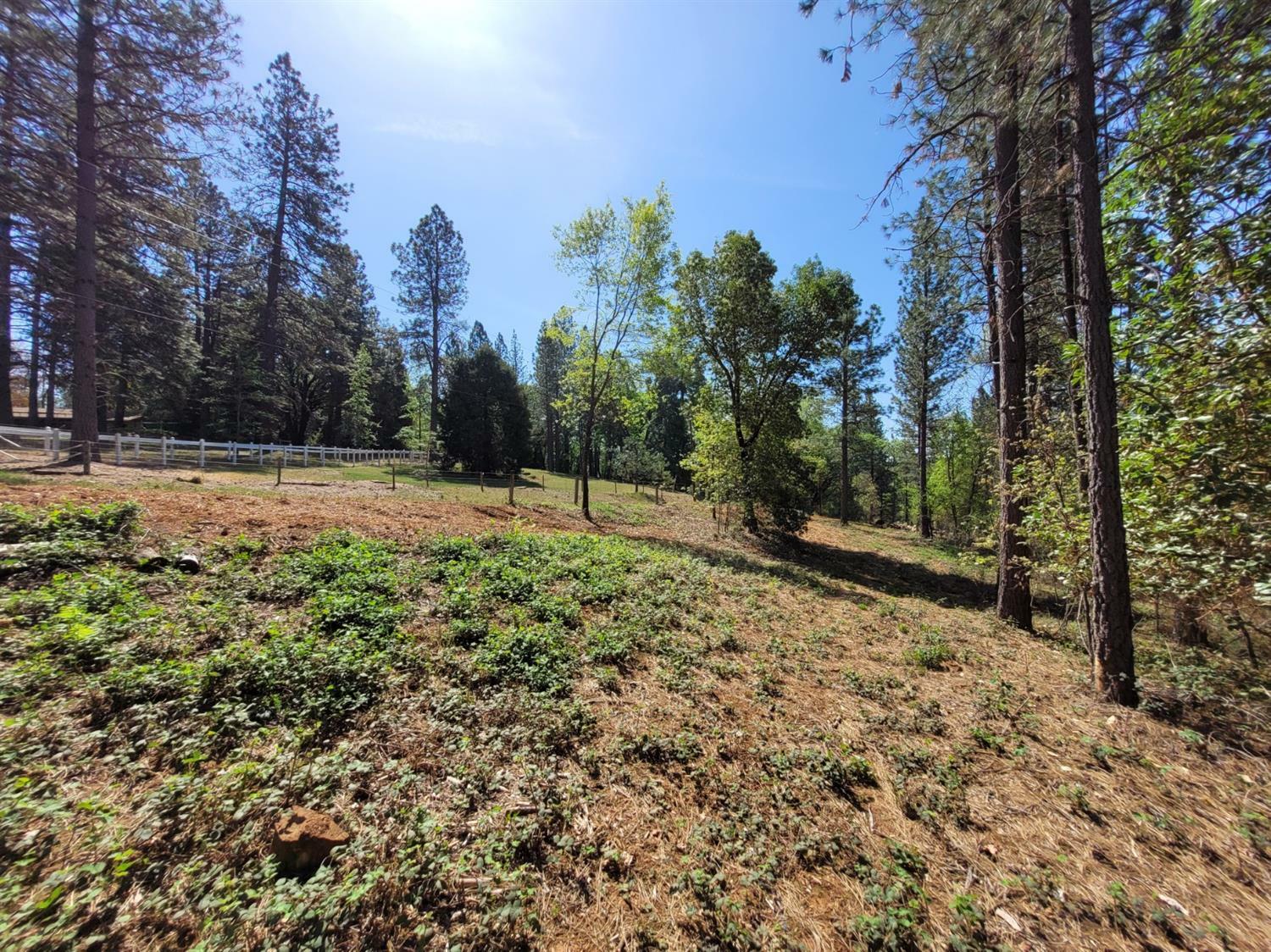 13560 Hopeful Hill Road  Nevada City CA 95959 photo