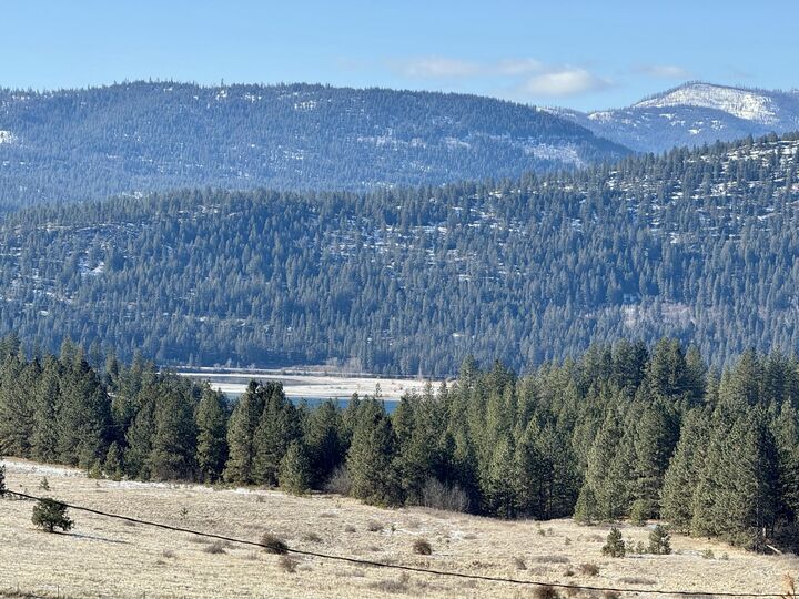 2362 Wild Heart Way  Kettle Falls WA 99141 photo