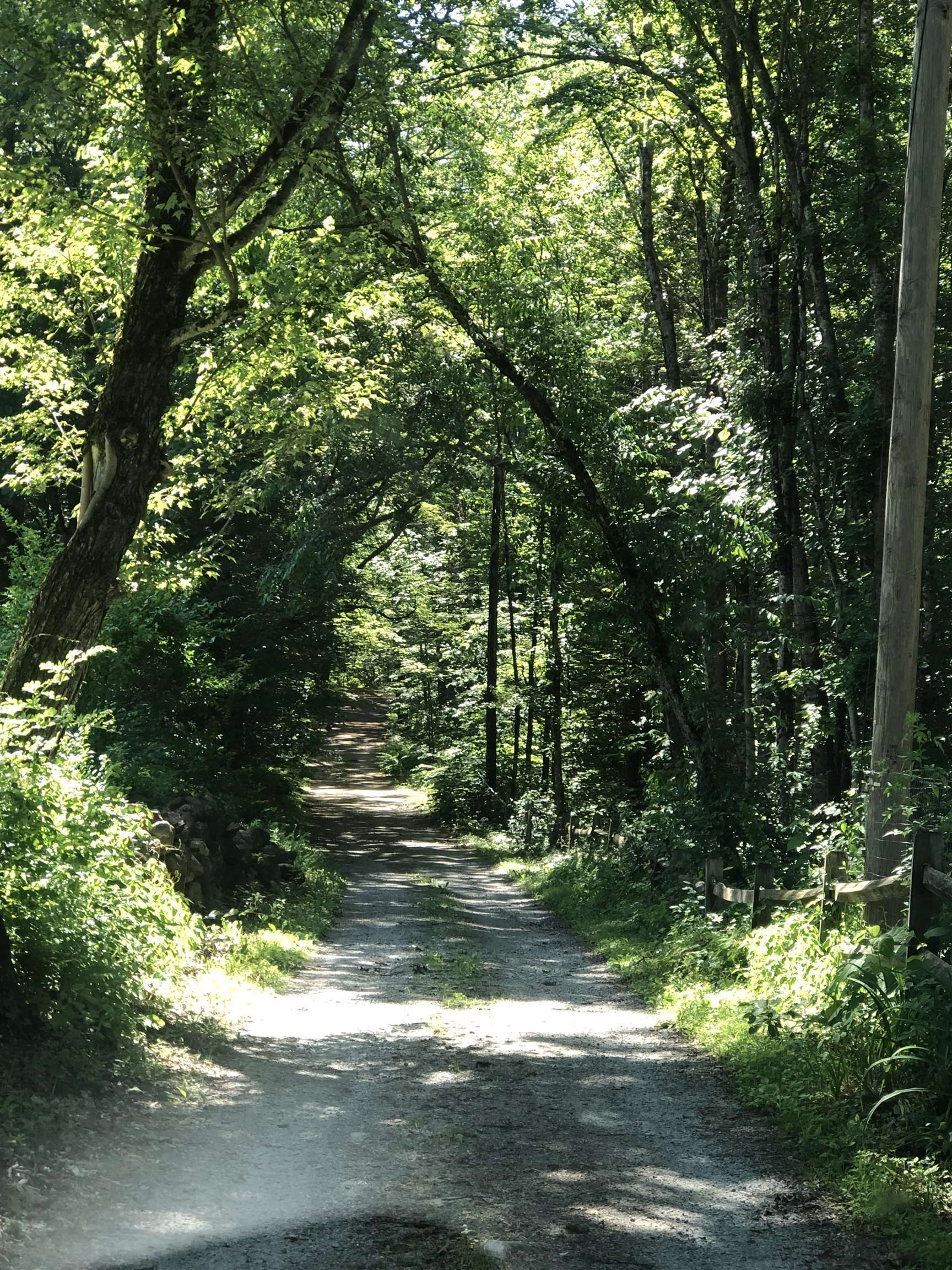 Property Photo: 11 Northside Drive NH 03303