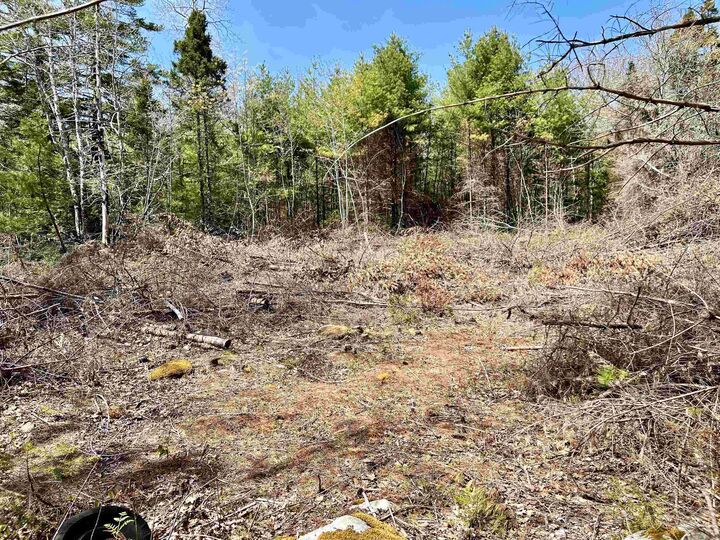 Property Photo:  Lot Highway 3  NS B0T 1W0 