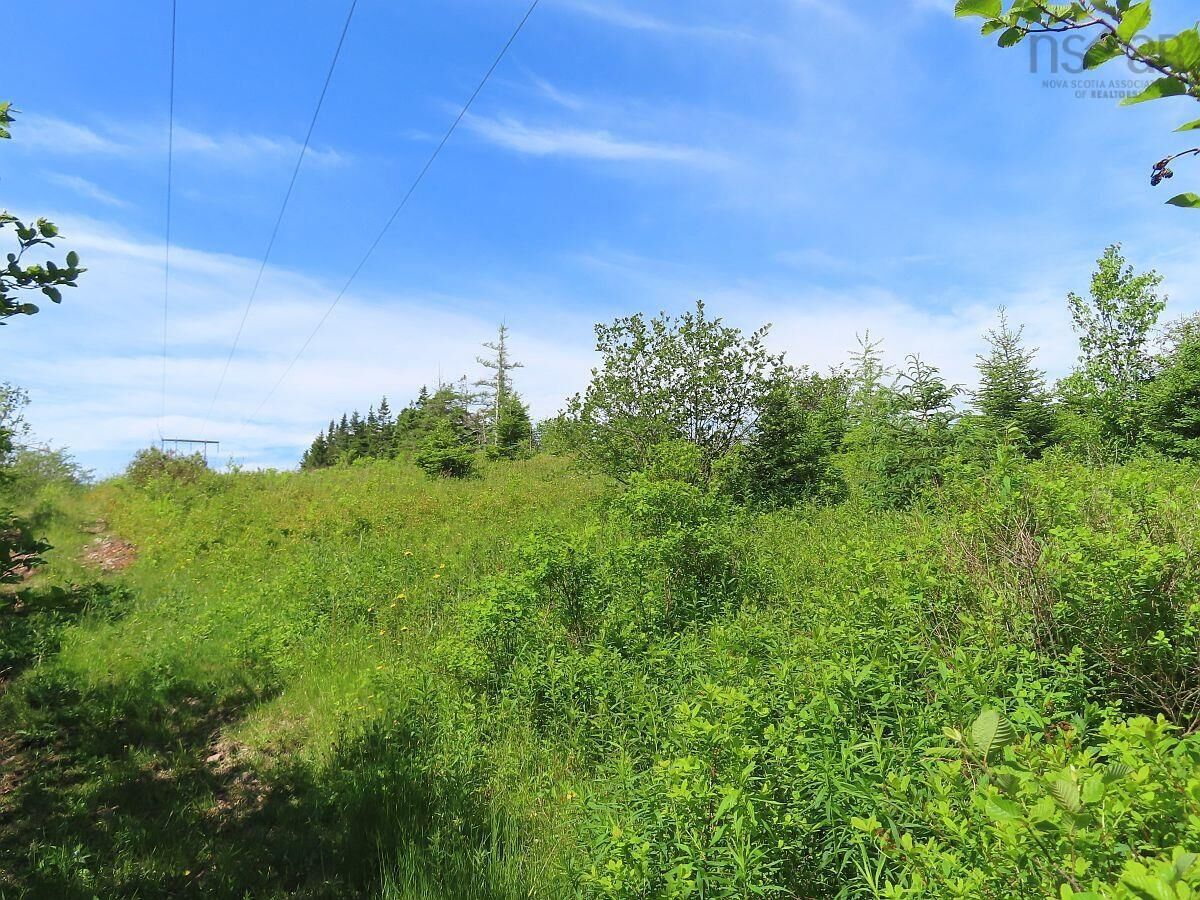 Property Photo:  Lot 2 Old Trunk 4 Highway  NS B0E 3B0 