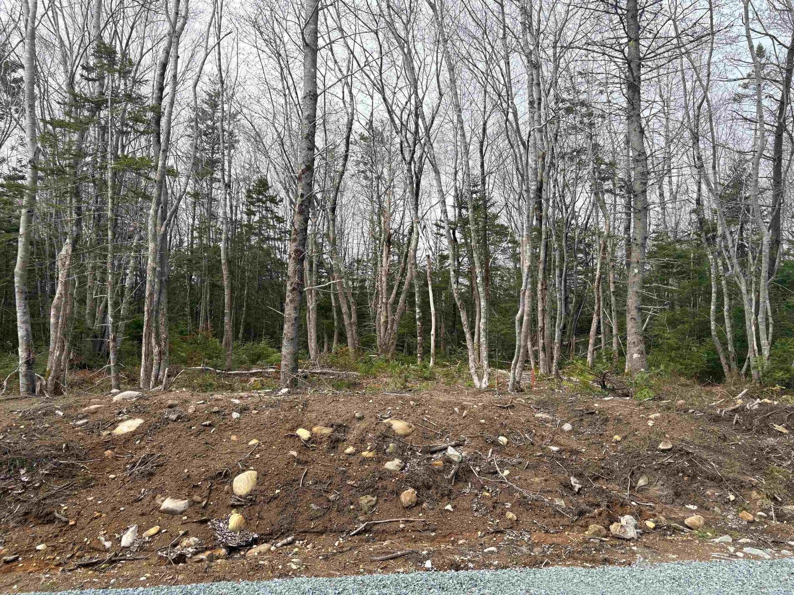 Property Photo:  Lot 7 Larry Seldon Lane  NS B0T 1K0 