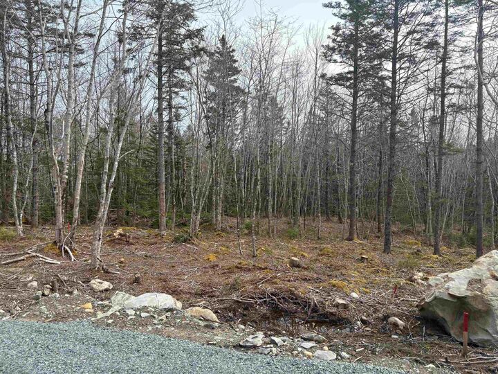 Lot 4 Larry Seldon Lane — photo 1