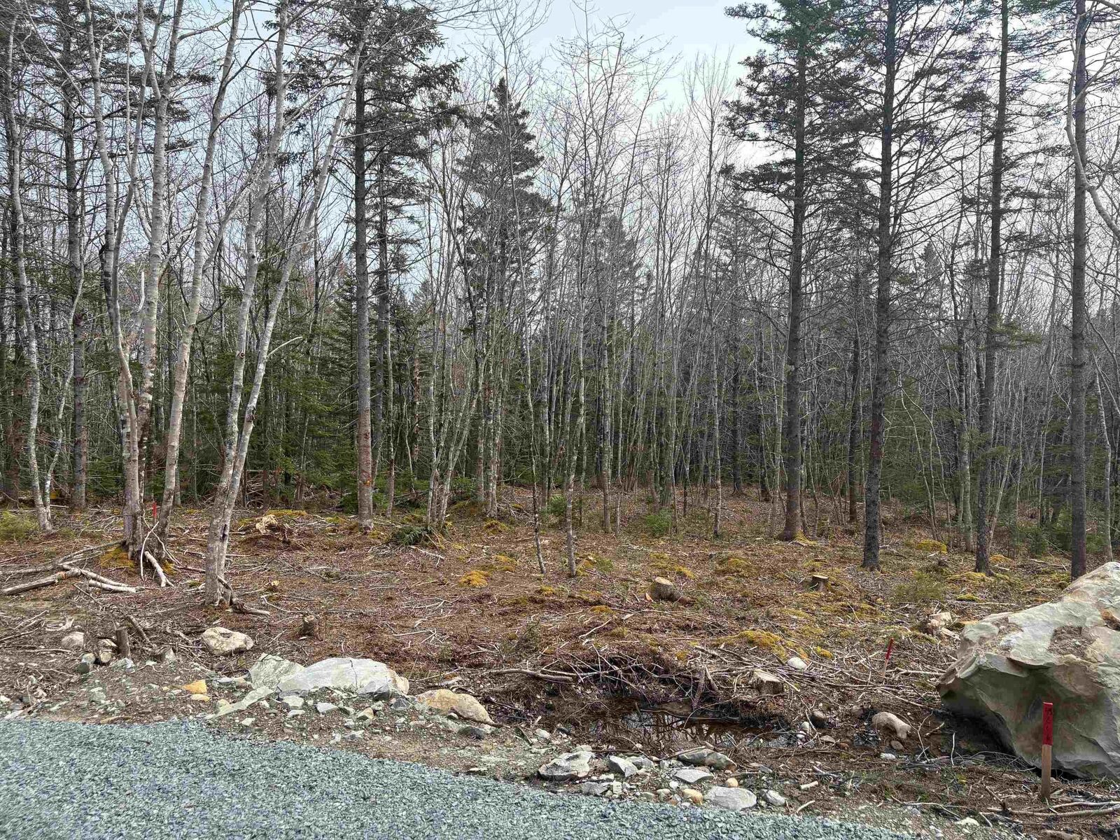 Property Photo:  Lot 4 Larry Seldon Lane  NS B0T 1K0 