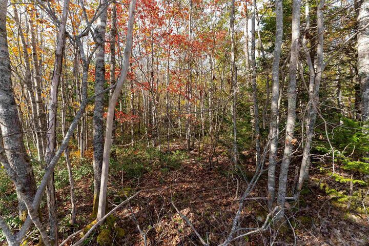 64 Morton Drive — photo 1