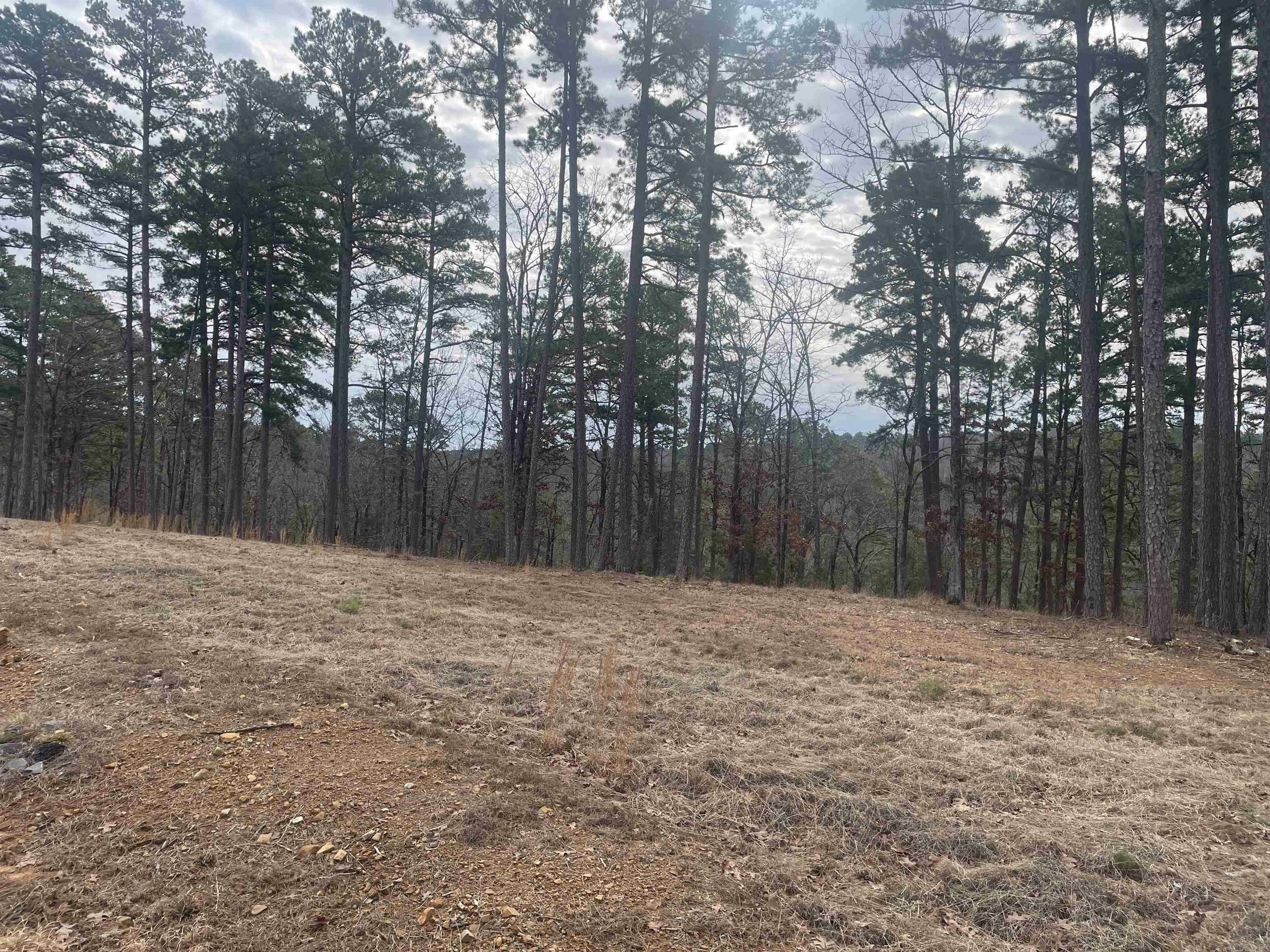 Property Photo:  3970 Orchard Heights Drive  AR 72034 