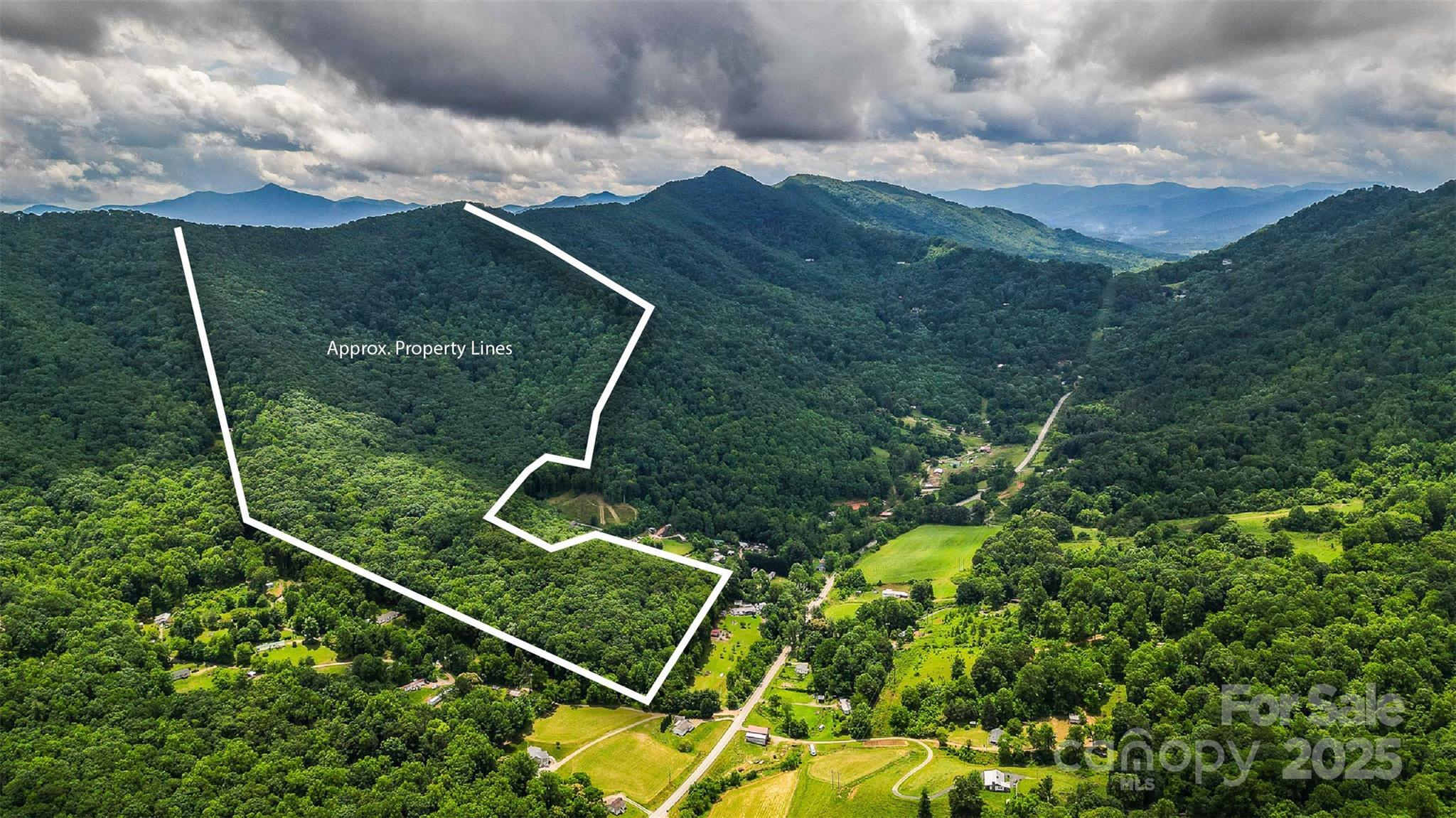 Property Photo: 99999 Dark Cove Road NC 28748