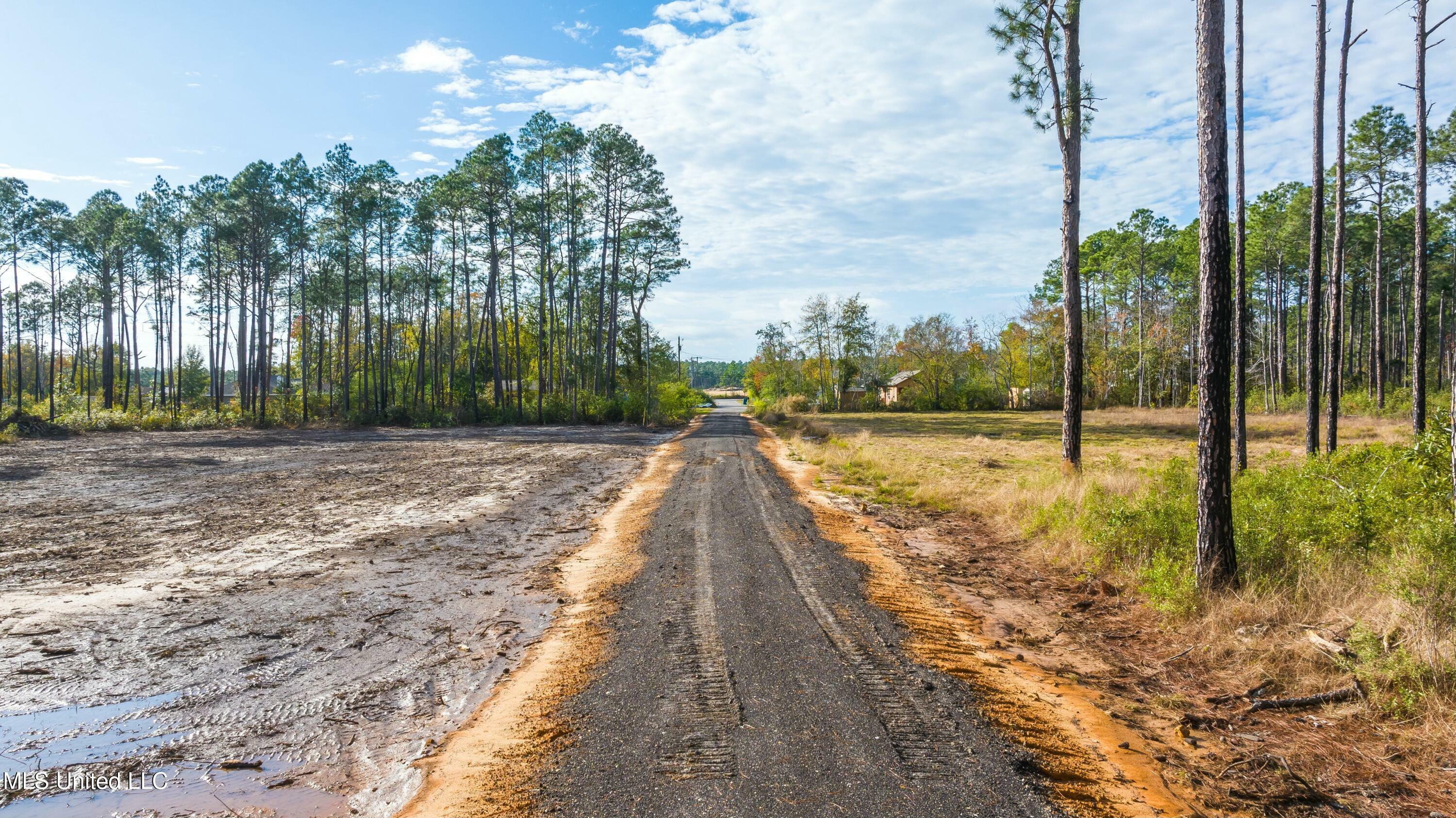 Property Photo:  Holiday Drive  MS 39564 