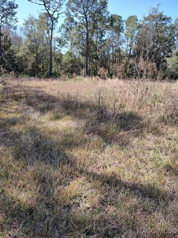 Property Photo: 7636 Narcissus Lane FL 34448