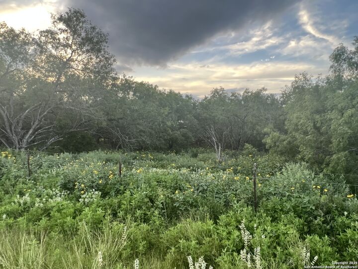 Property Photo: 10477 Briggs TX 78002