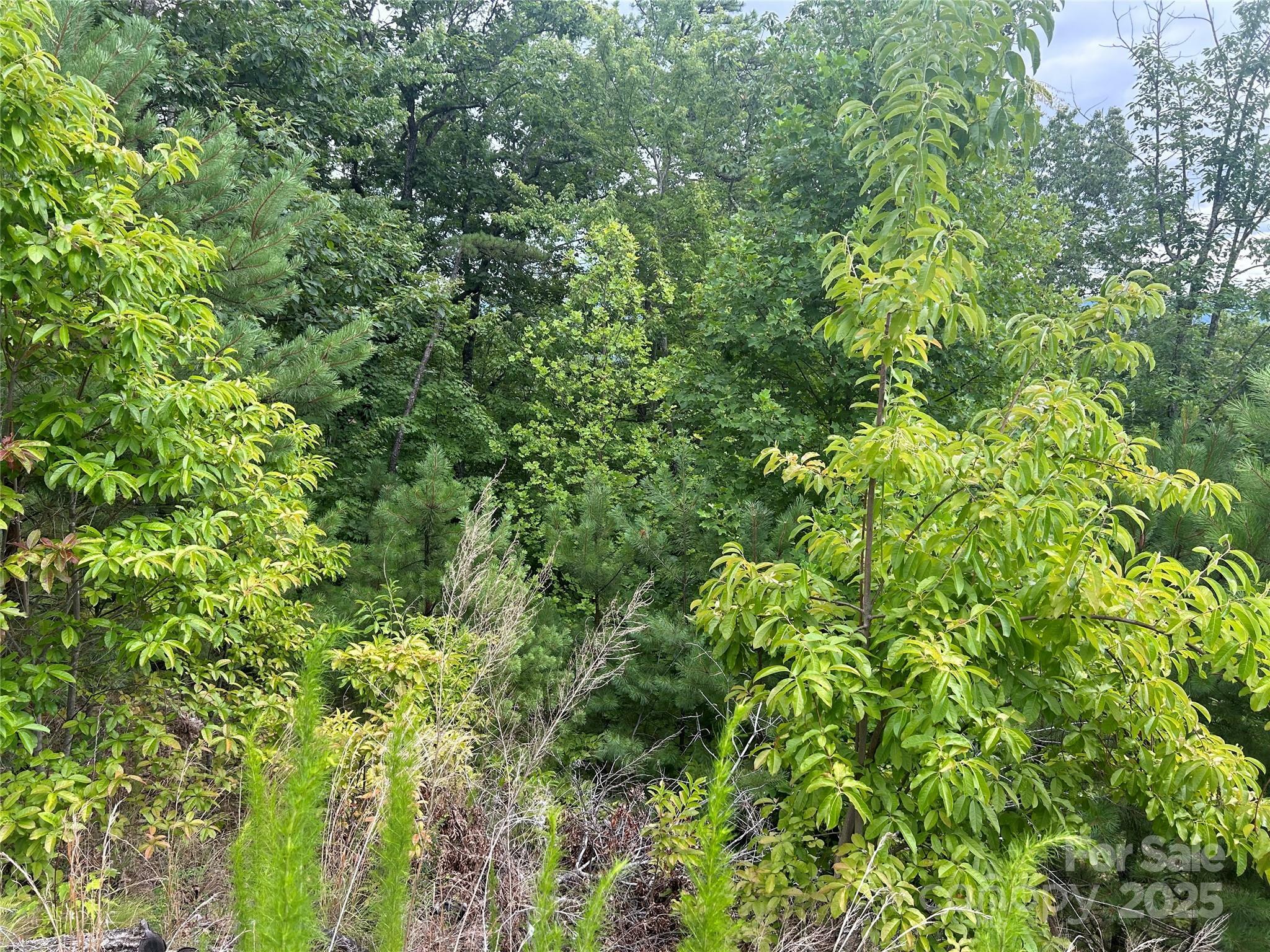 Property Photo: Tbd Lobelia Lane 72 NC 28607