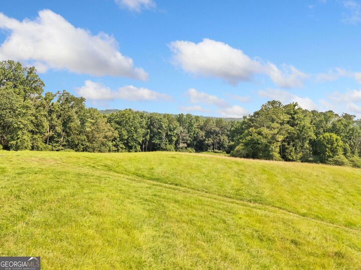 Property Photo:  187 Long Road  GA 30107 