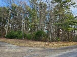 Property Photo:  30000 True Road Temporary Address  WV 25951 