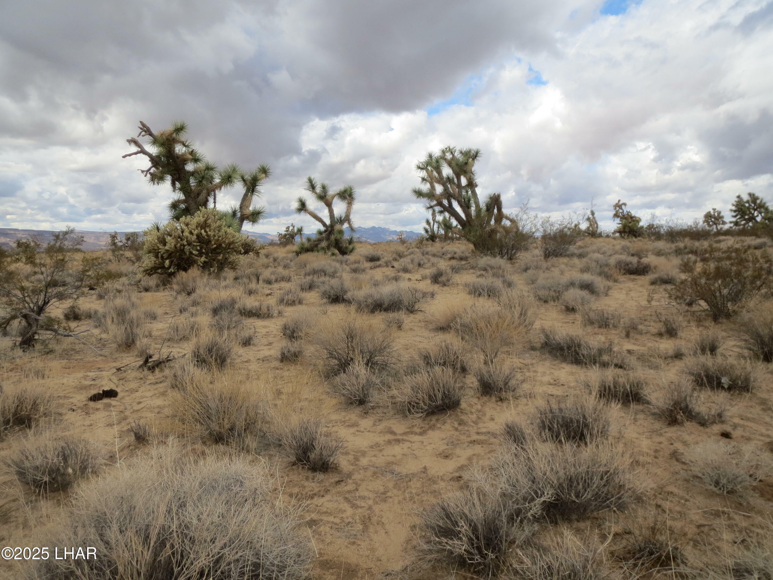 Property Photo: 11844 S Desert View Rd AZ 86438