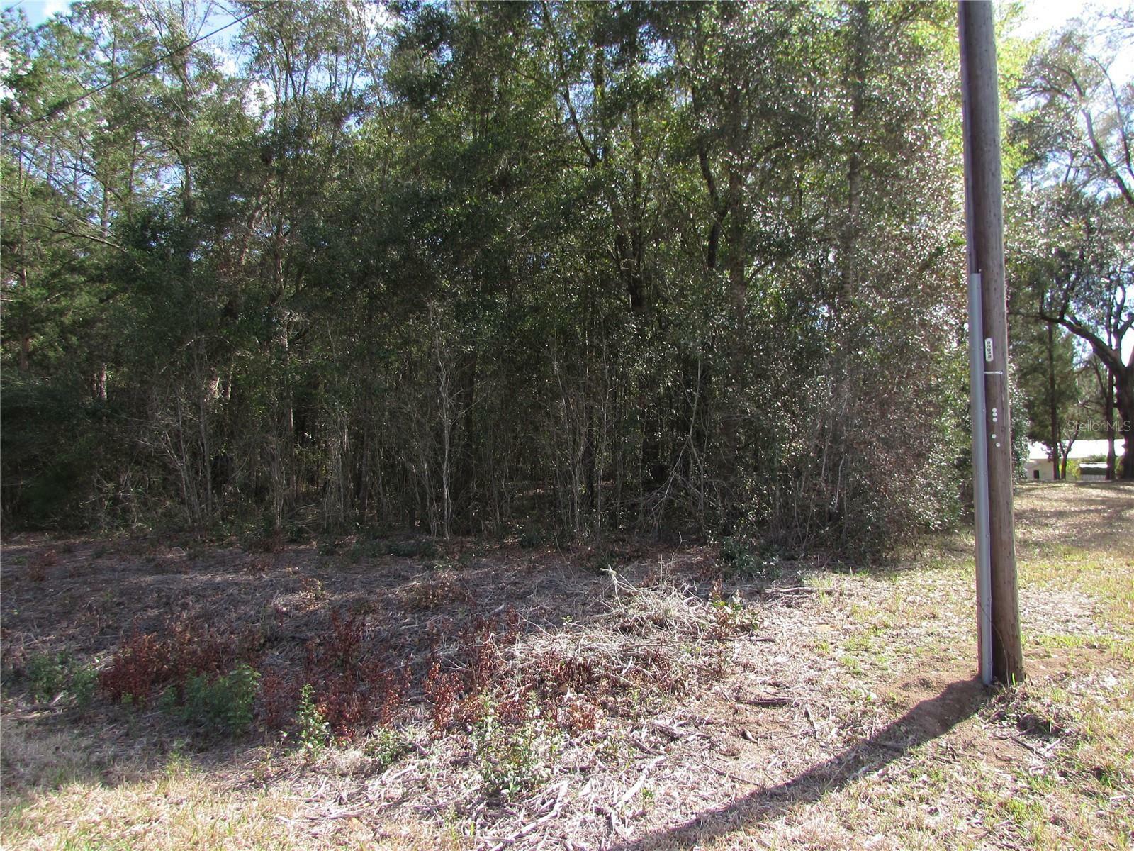 Property Photo:  Lot 24 SW Starling Drive  FL 34431 