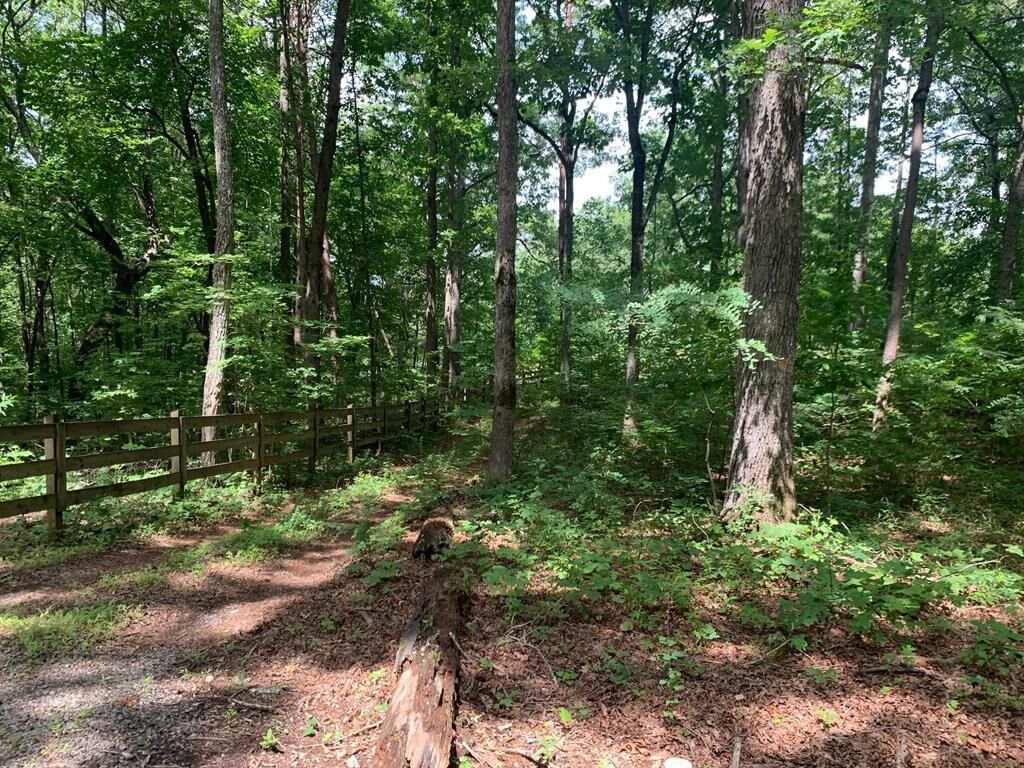 Property Photo:  Lot 89 Broken Bow Trail  GA 30582 