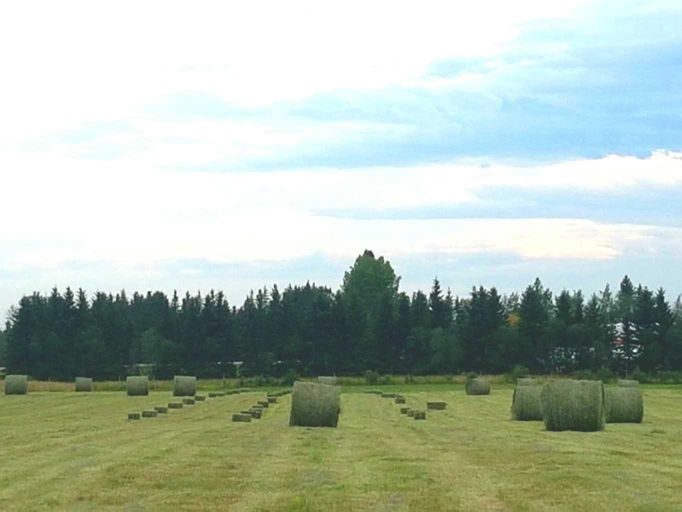 Property Photo:  390039 Range Road 5-4  AB T0M 0C0 