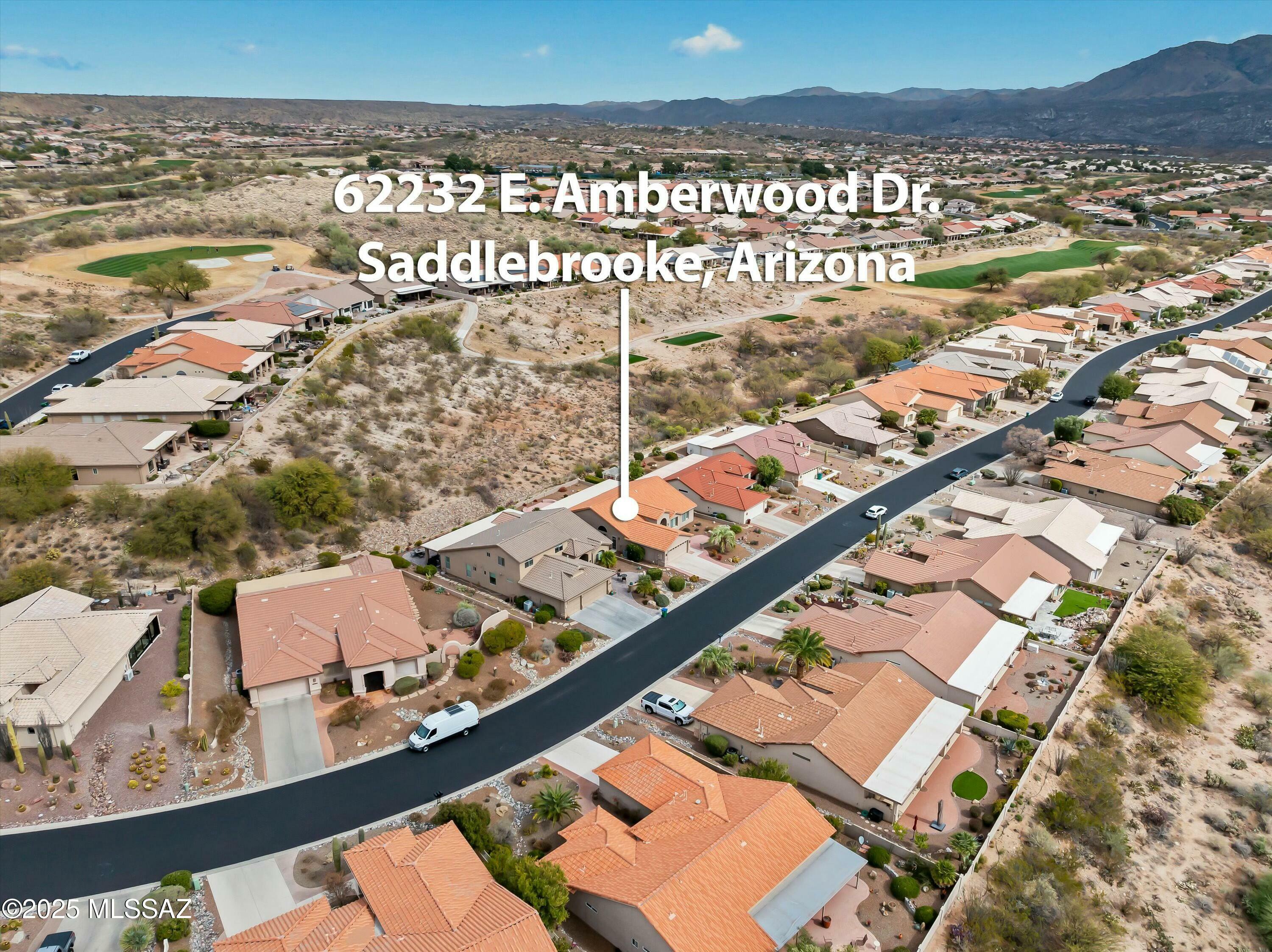 Property Photo:  62232 E Amberwood Drive  AZ 85739 