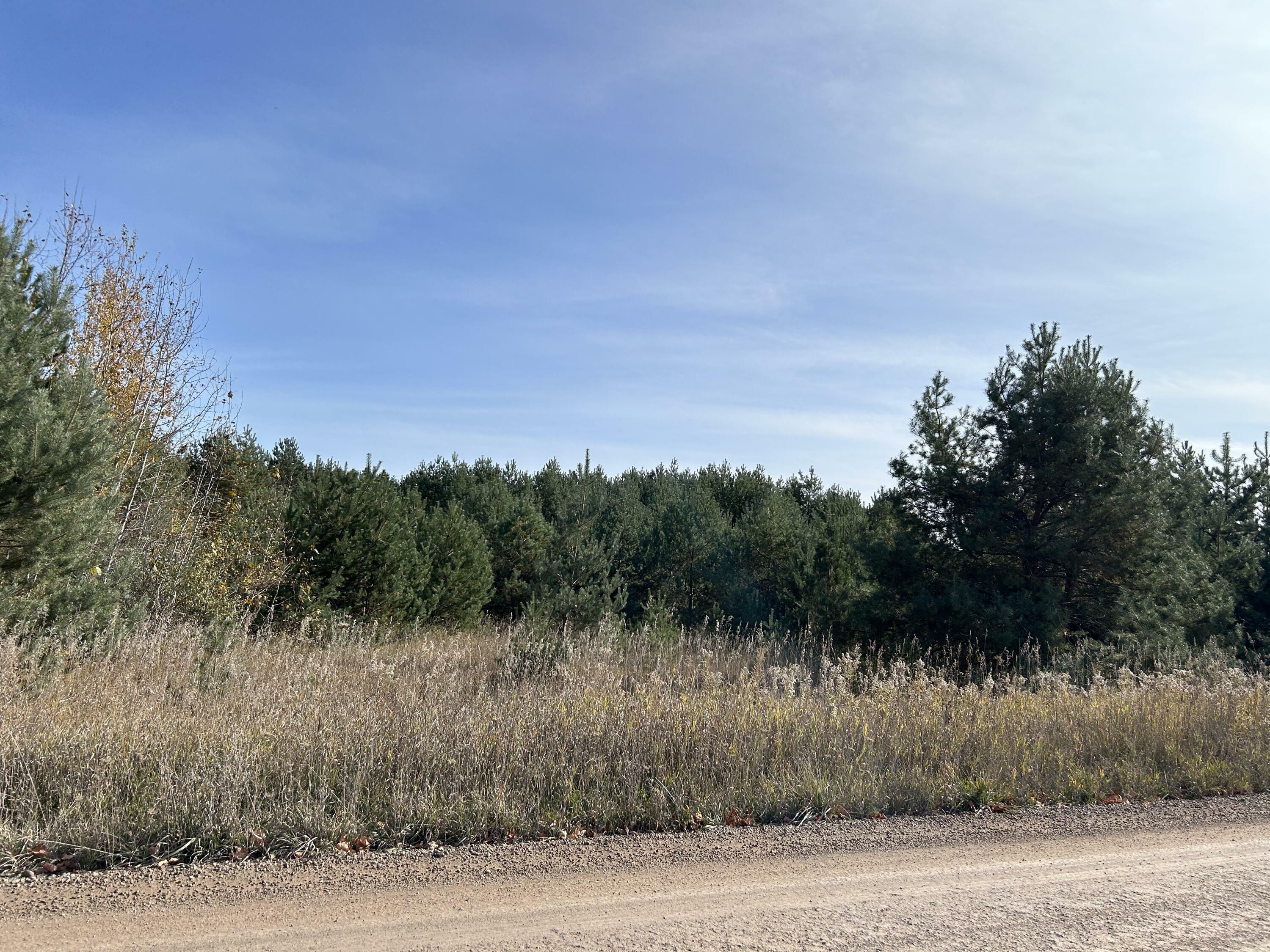 Property Photo:  Indian Trail Road  MI 49721 