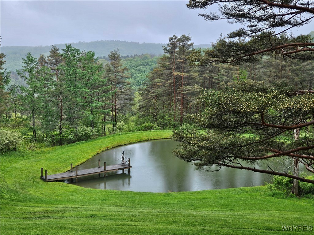 Property Photo: 6539 Plum Creek Road NY 14731