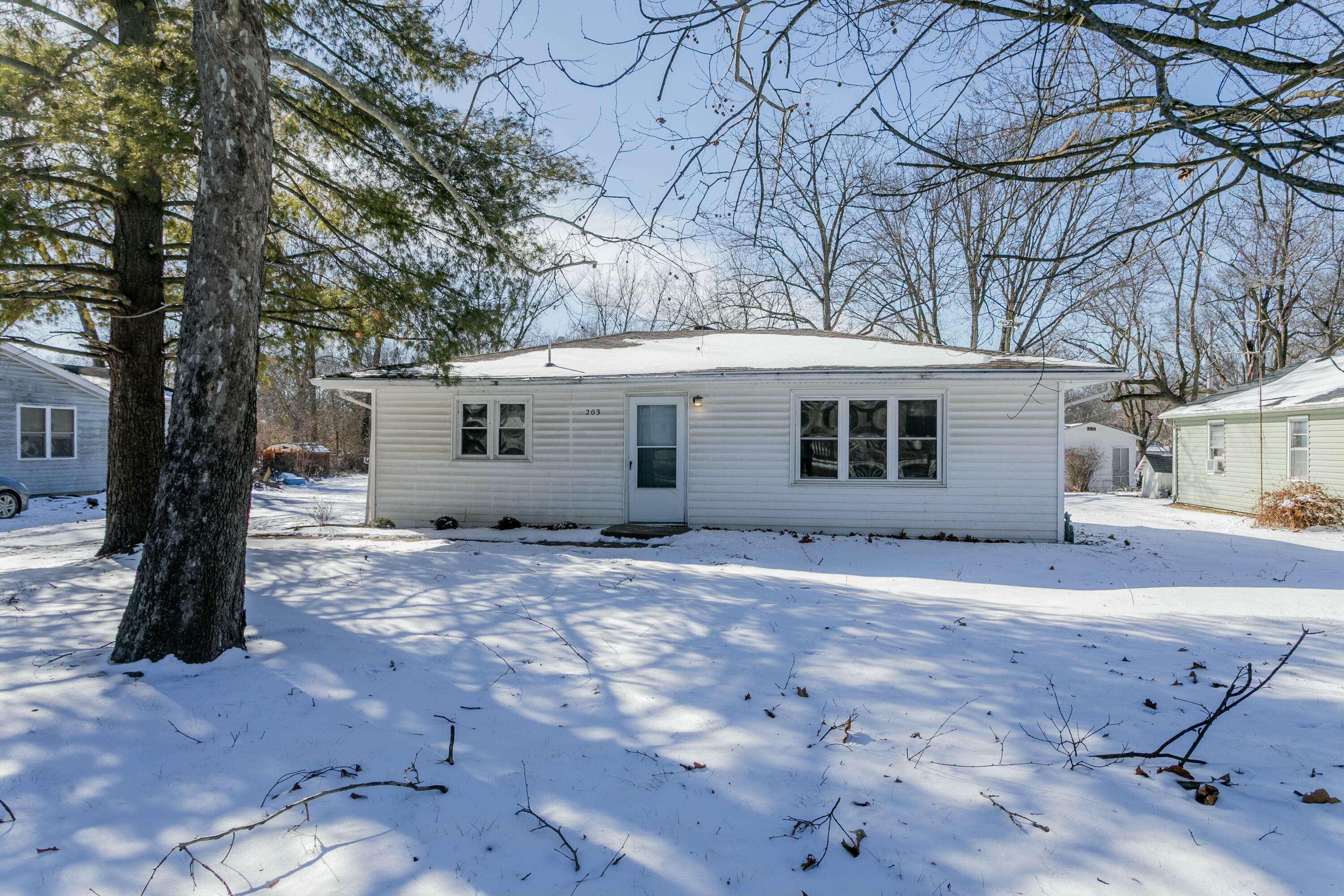 203 Hudson Ave  Hallsville MO 65255 photo