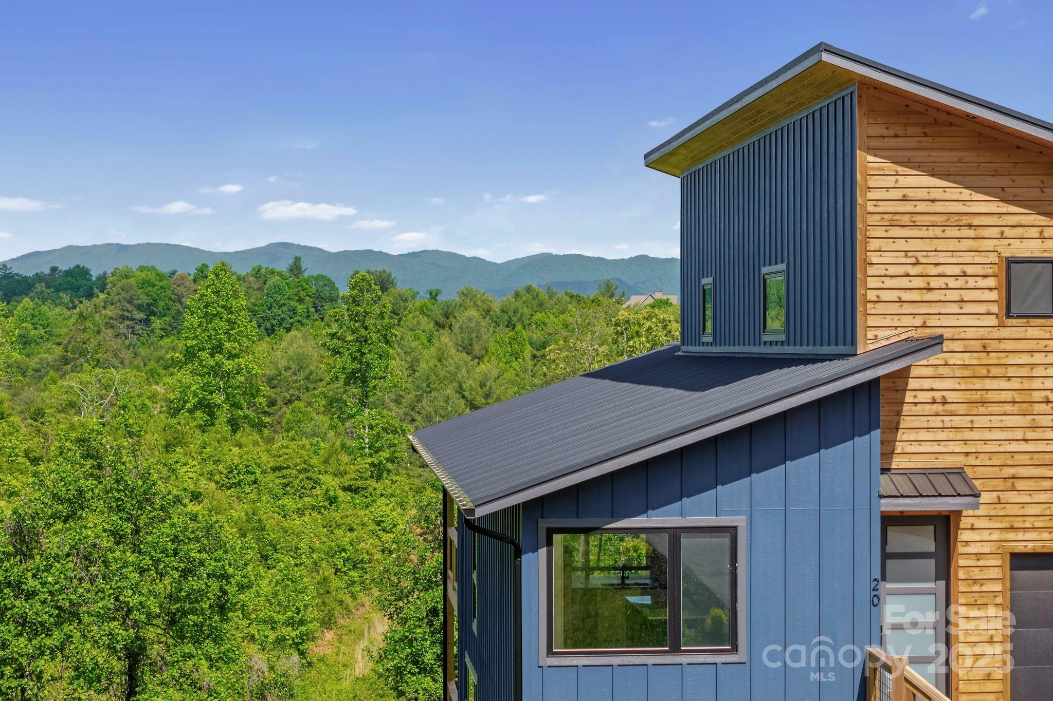 Property Photo:  20 Giovannas Way  NC 28748 