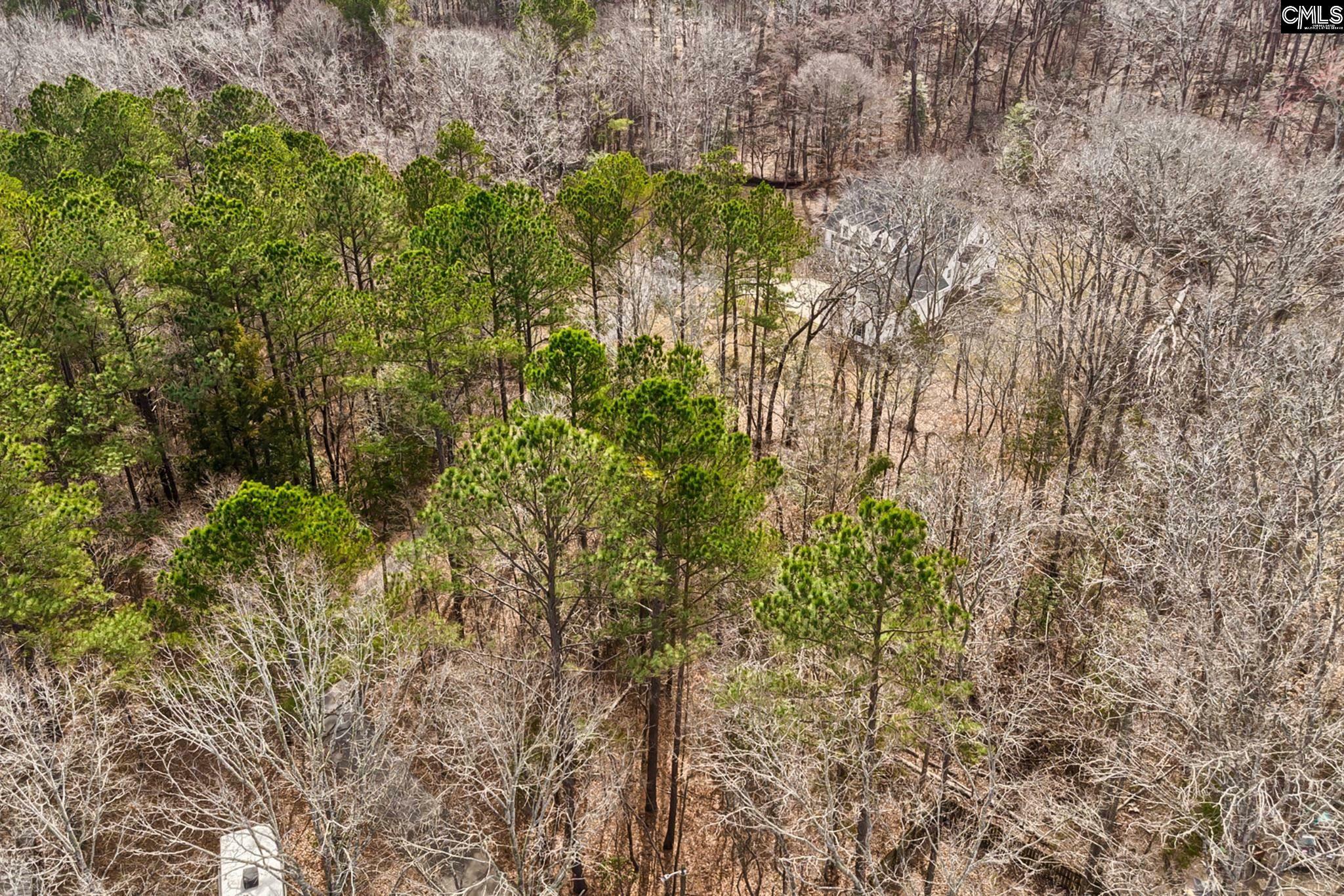 Property Photo:  283 Woodthrush  SC 29036 