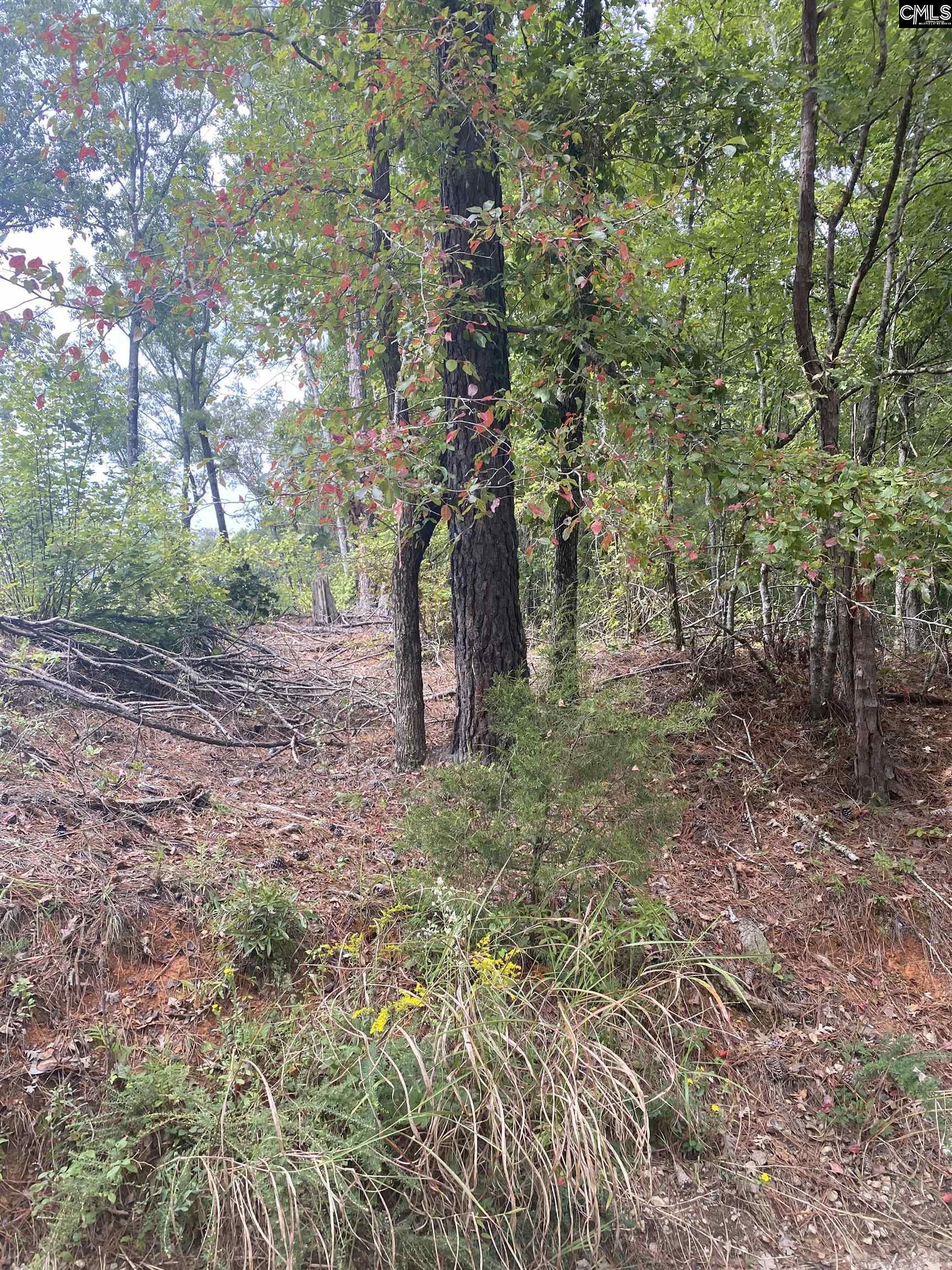 Property Photo: None Claude Bundrick SC 29016