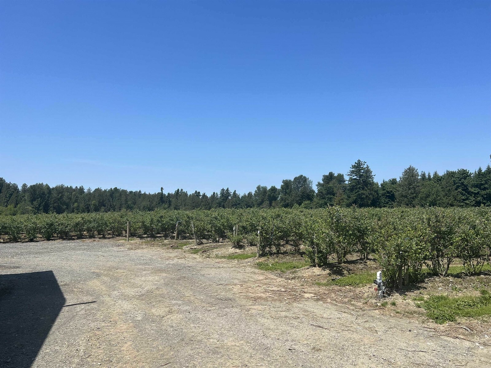 Property Photo:  4281 Bradner  BC V4X 1S9 