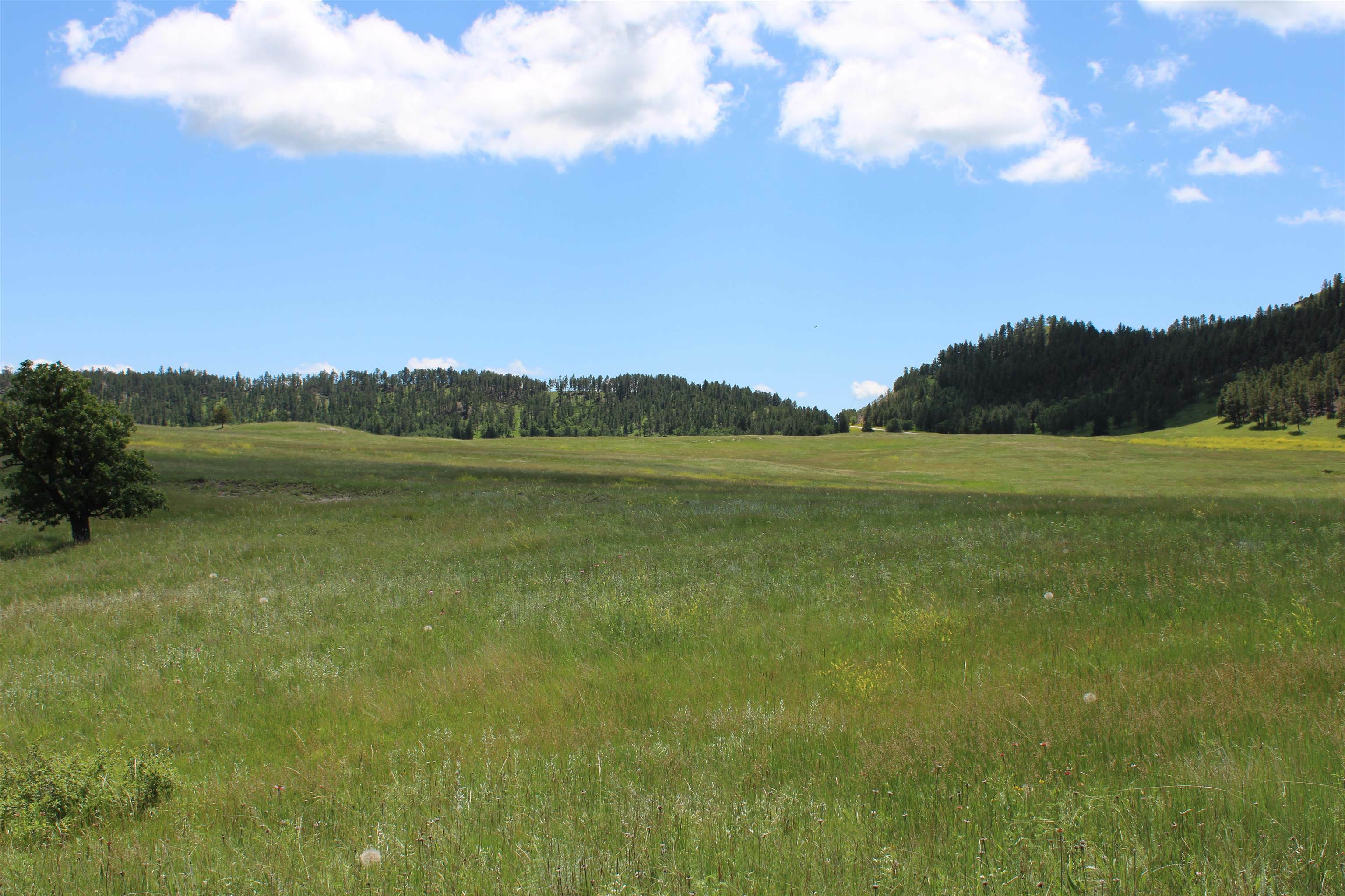 Property Photo:  Tract 3 Bay Mountain Road  WY 82720-9999 