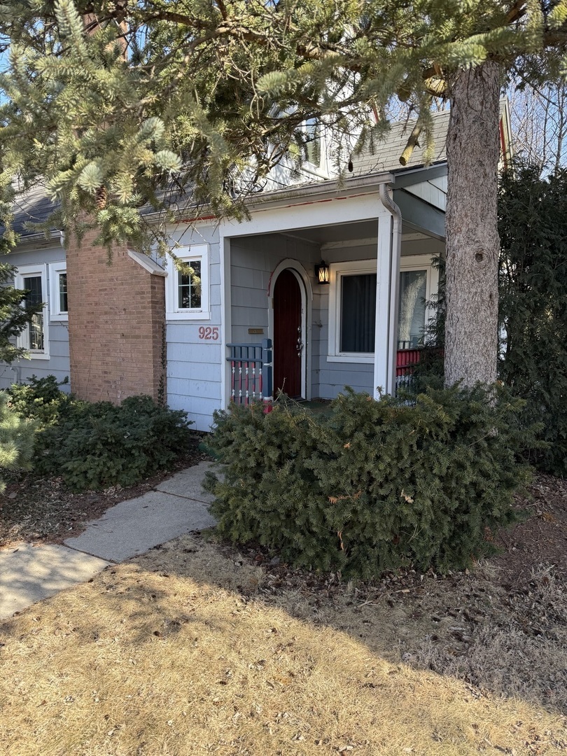 Property Photo:  925 Prospect Street  IL 60120 