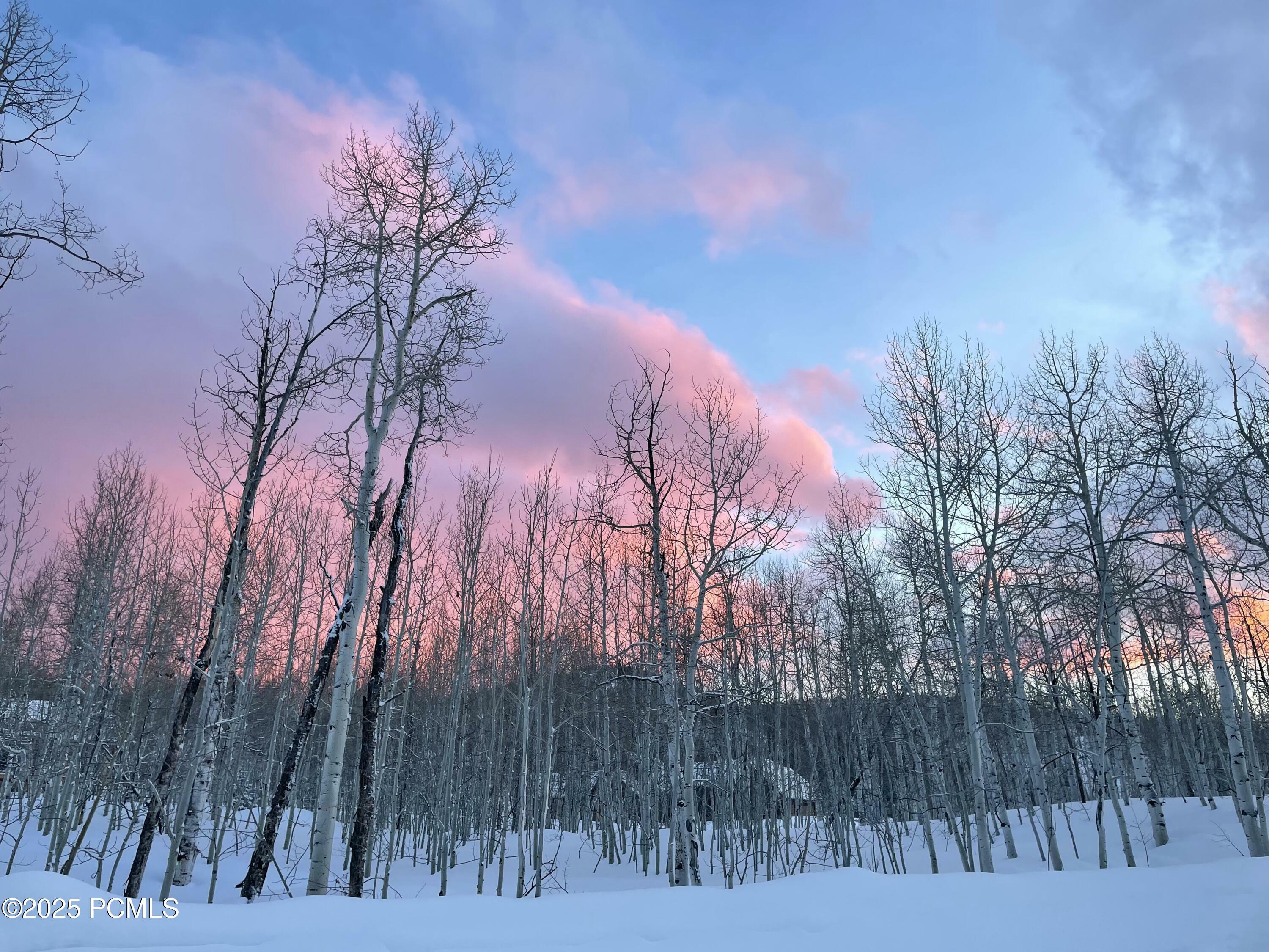 Property Photo:  11223 Columbine Lane  UT 84032 