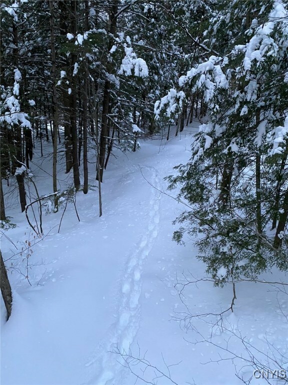 Property Photo: 580 Honey Hollow Road NY 13865