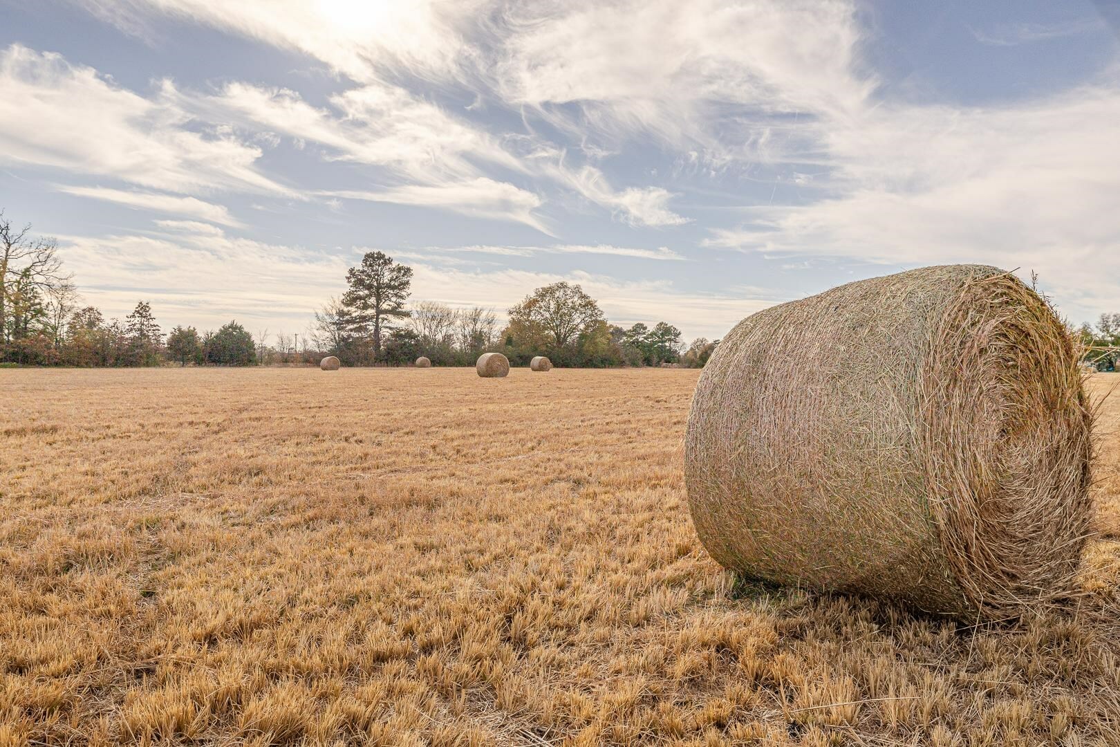 Property Photo: 4108 House Drive AR 72404