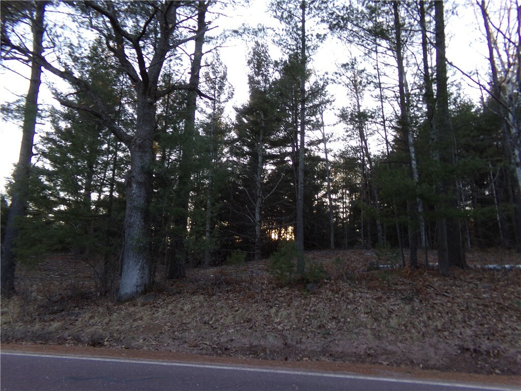 Property Photo: Tbd S County Rd F WI 54849