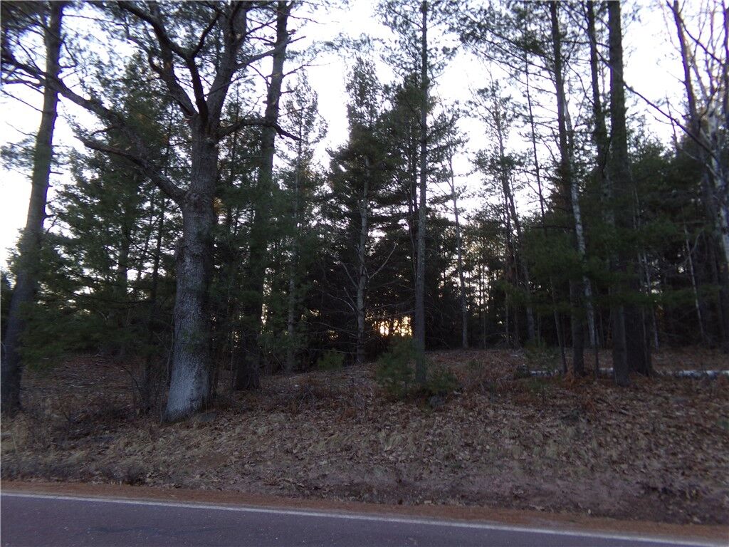 Property Photo:  Tbd S County Road F  WI 54849 