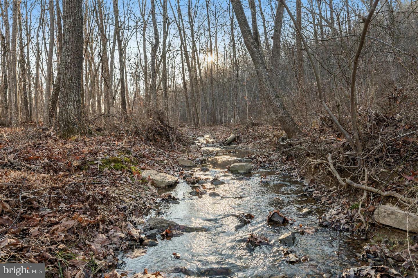 Property Photo:  Lot 6 Back Creek Rd  VA 22637 